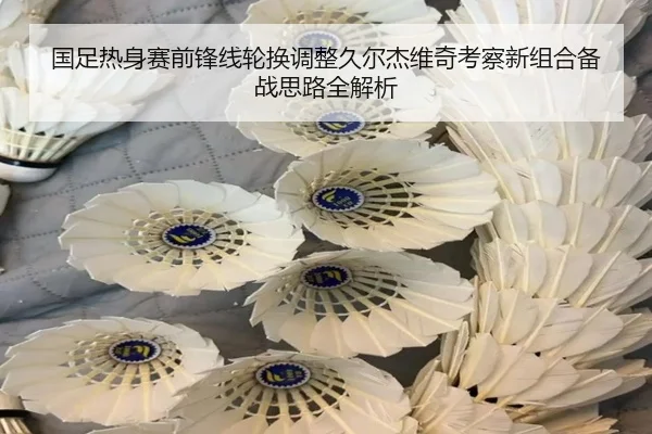 国足热身赛前锋线轮换调整久尔杰维奇考察新组合备战思路全解析
